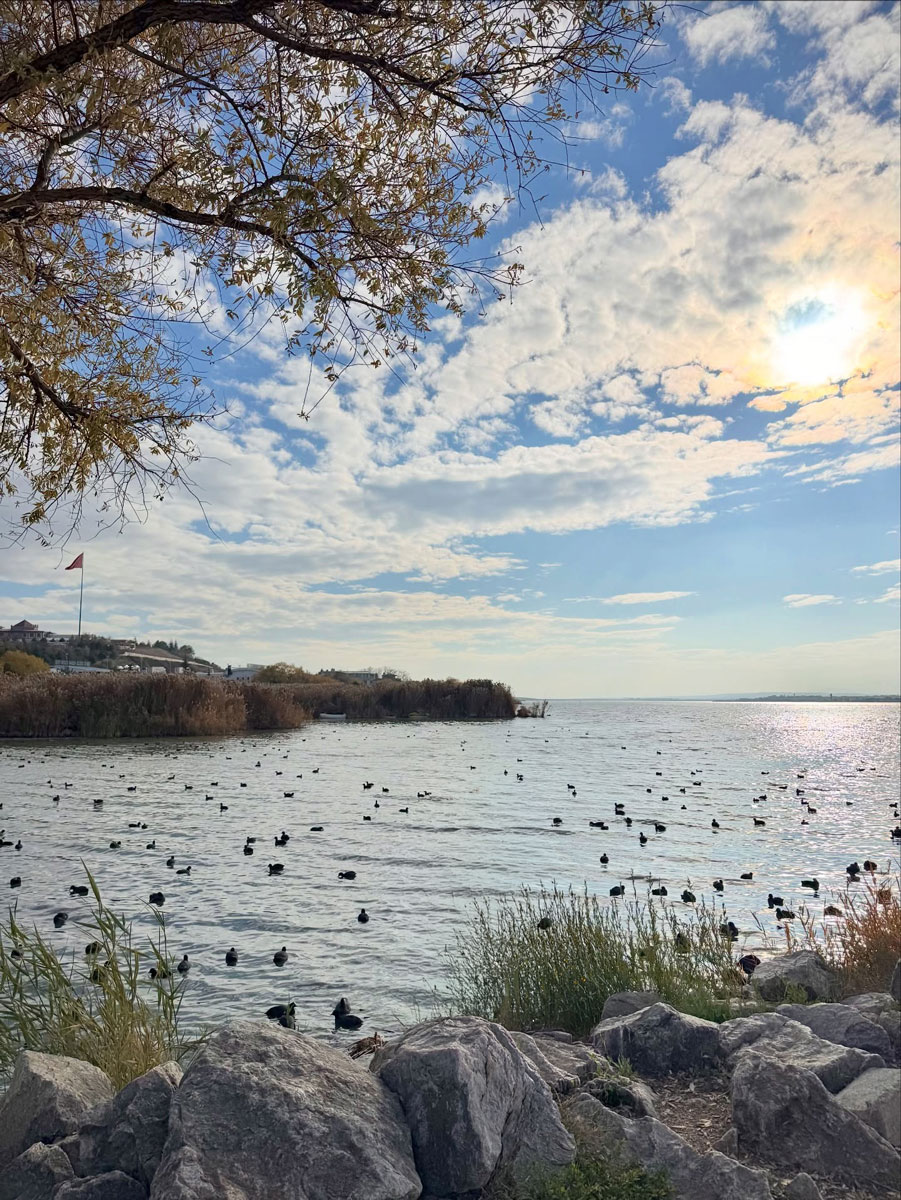 Mogan Gölü Piknik Yeri