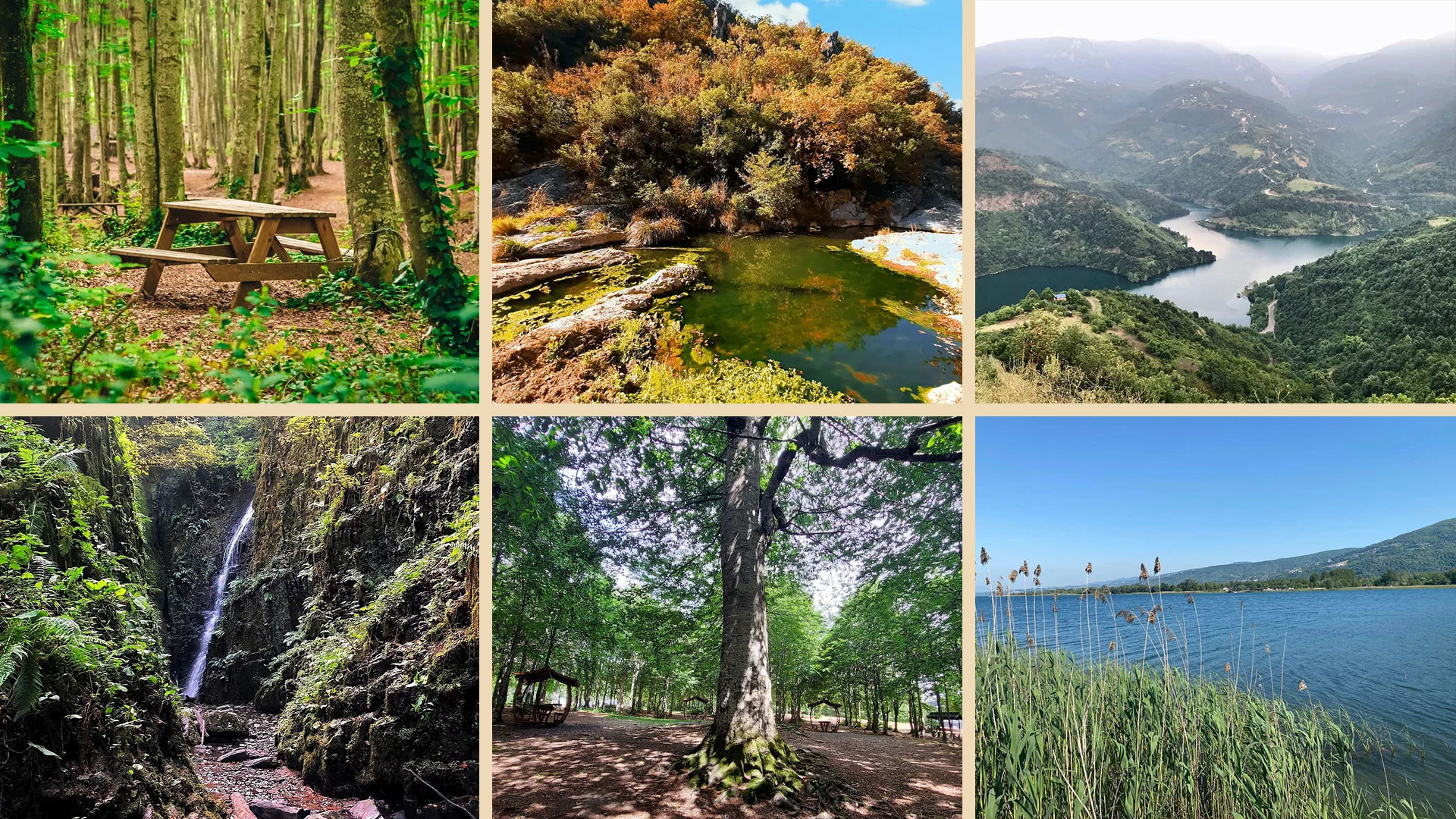 Kocaeli piknik ve mangal yerleri için orman, göl, şelale, tabiat parkı ve mesire alanı manzaralarından oluşan kolaj