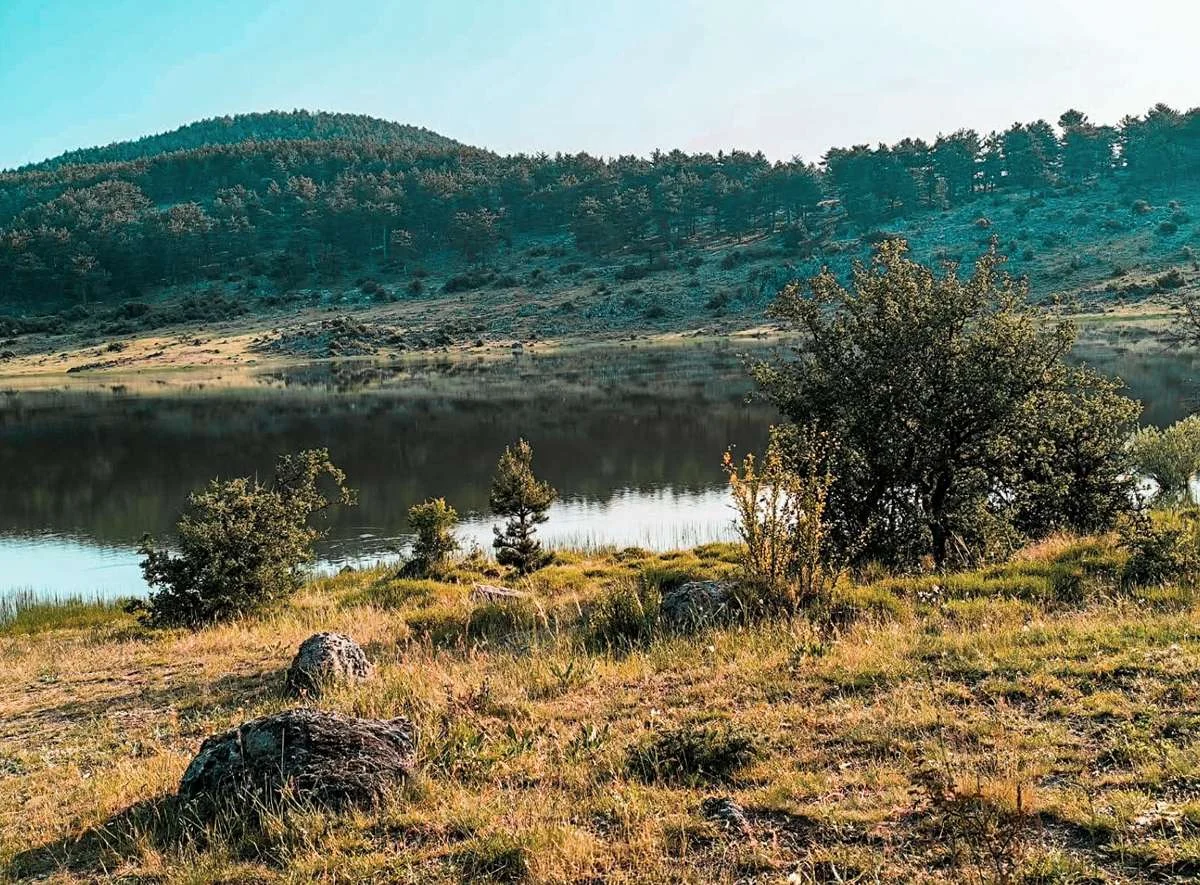 Çam ağaçlarıyla kaplı tepelerin eteğinde yer alan durgun su yüzeyli göl ve etrafındaki doğal bitki örtüsü.