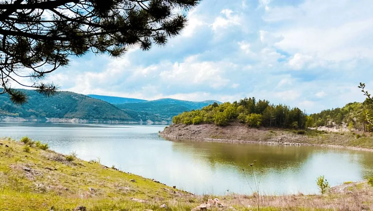 Çam ağacı dalları arasından görünen Eğrekkaya Barajı gölü ve yeşil tepeler.