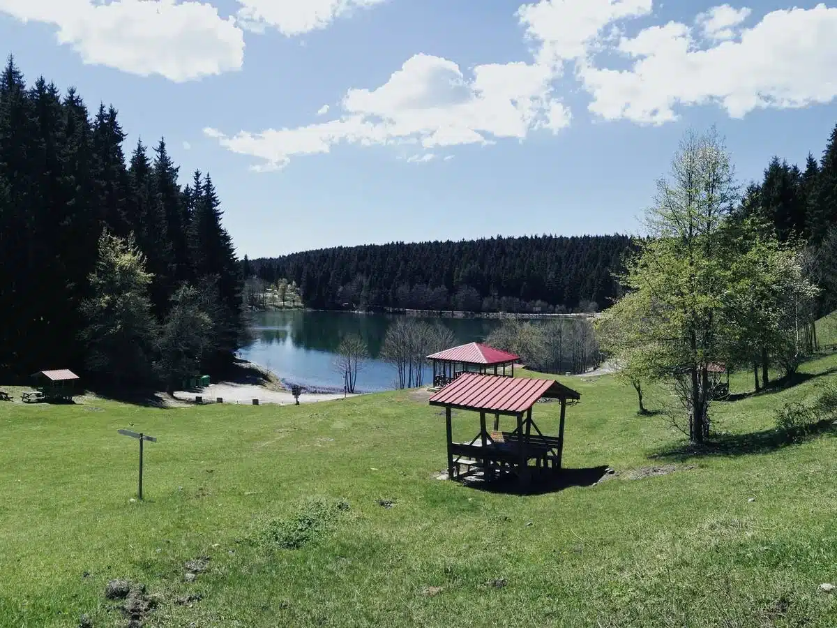 Şavşat Karagöl kıyısına doğru inen çimenlik yamaçta orman manzaralı kırmızı çatılı ahşap kamelyalar.