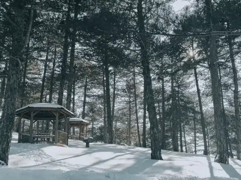 Honaz Dağı Milli Parkı