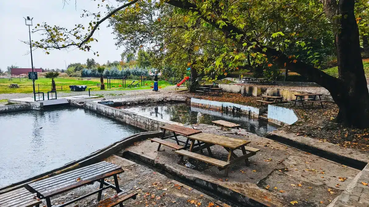 Honaz Pınarbaşı Göz piknik alanında su havuzu kenarındaki ahşap masalar ve arka planda yer alan çocuk oyun parkı.