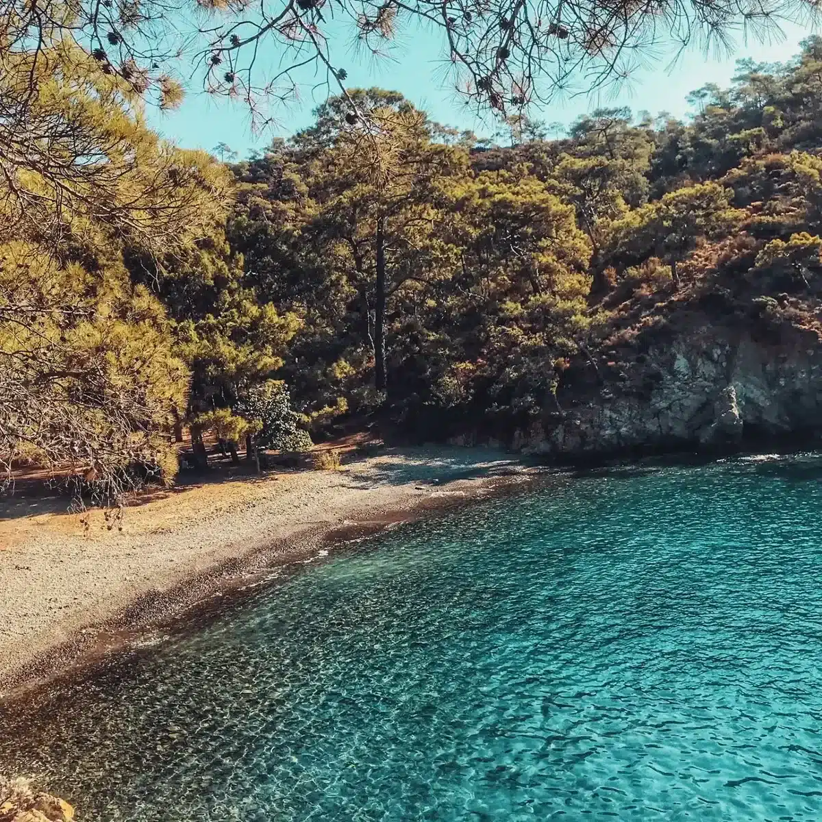 Fethiye Karşı Akbaş Koyu'nun çam ağaçları arasından görünen berrak denizi ve taşlık sahili.