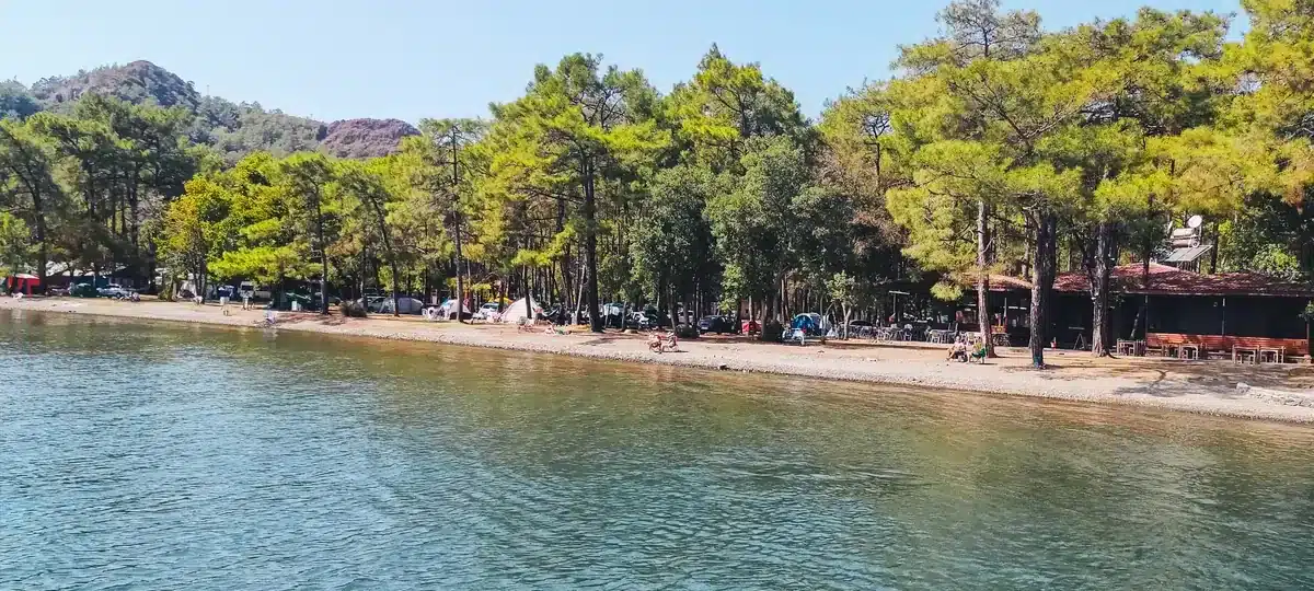 Çubucak Tabiat Parkı çam ormanı kıyısında denize sıfır çadır kamp alanı ve sahil şeridi.
