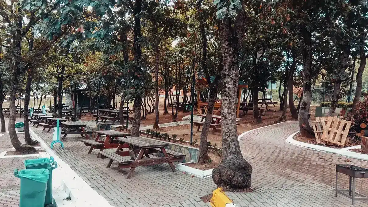 Kurna Piknik Alanı'nda kilit taşlı yürüyüş yolu kenarındaki ahşap masalar, çöp kovaları ve ayaklı mangal.
